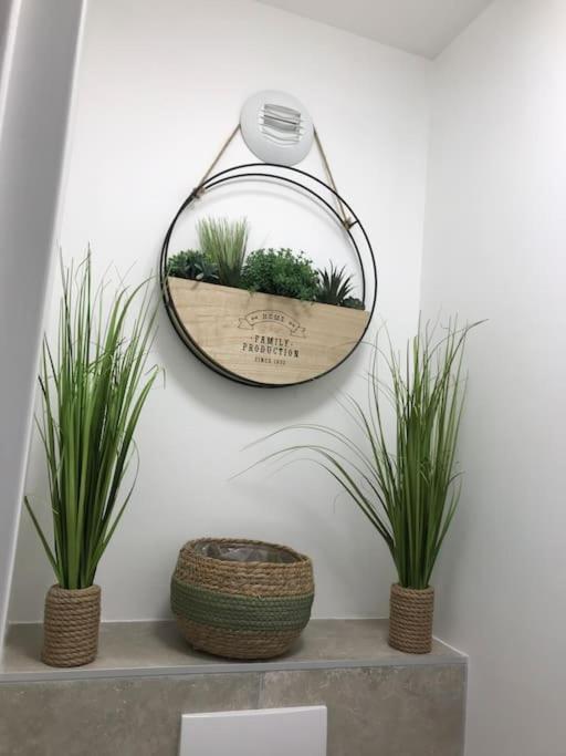 Studio « Oasis Provencale » 瓦洛里 外观 照片